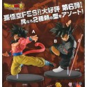 DRAGON BALL SUPER  SONGOKU FES VOL.6