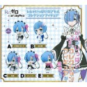 RE : ZERO REM IPPAI CAPSULE COLLECTION FIGURE