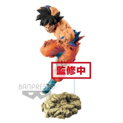 DRAGON BALL SUPER TAG FIGHTERS  SON GOKU