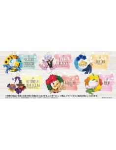 Pokemon Wreath Collection (Colección completa)