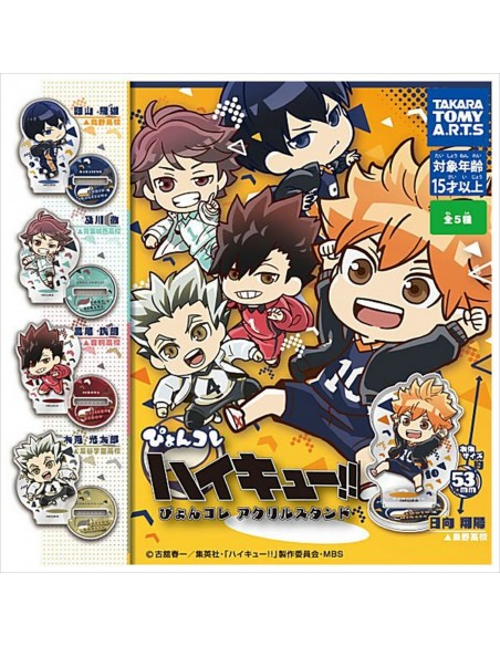 Haikyu!! Pyonkore Standing Figure (SET COMPLETO)