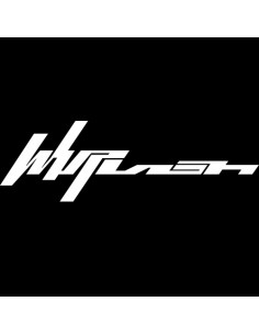 aespa - Whiplash [BEAT Ver. - Random Cover]