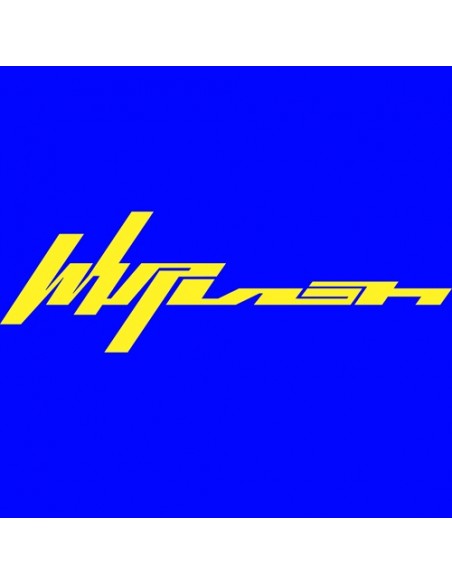 aespa - Whiplash [SPEED Ver. - Random Cover]