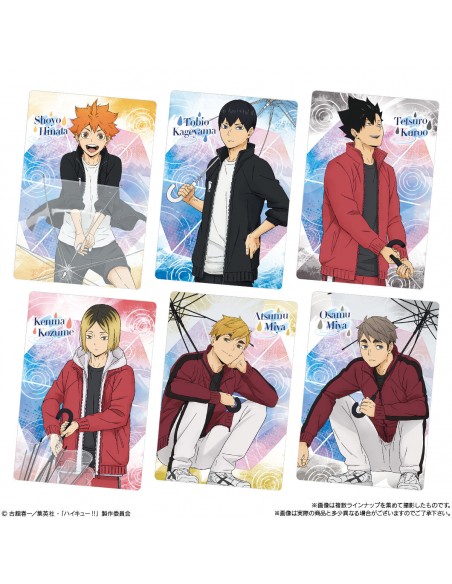 Haikyu!! Wafer 5  Trading Card