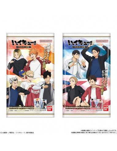 Haikyu!! Wafer 5  Trading Card