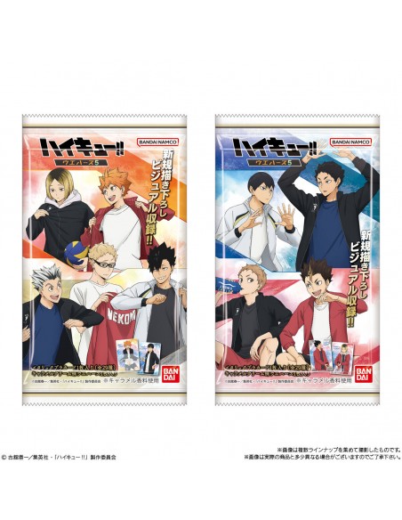 Haikyu!! Wafer 5  Trading Card