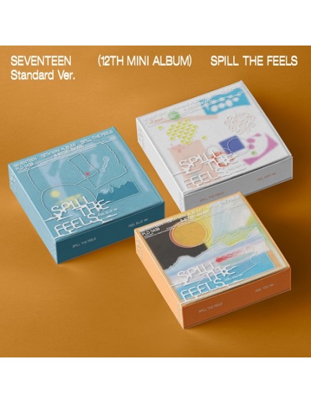 SEVENTEEN - SPILL THE FEELS [Random Cover]