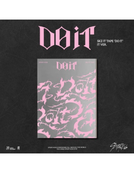 Stray Kids DO IT IT Ver. | Álbum K-Pop