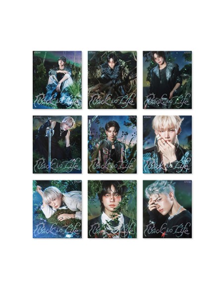 &TEAM -KR 1st Mini Album [Back to Life] (ROAR ver.) (9types Random Ver.)