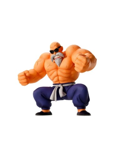 Master Roshi Training Section Ichibansho 21 cm | Dragon Ball