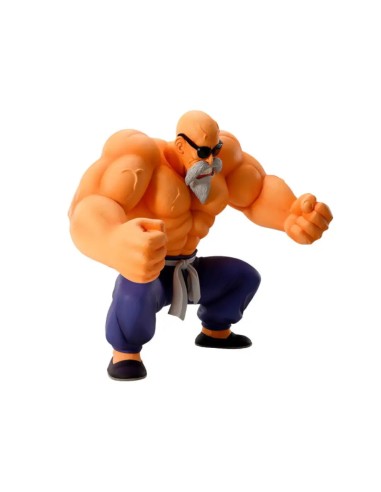 Master Roshi Training Section Ichibansho 21 cm | Dragon Ball