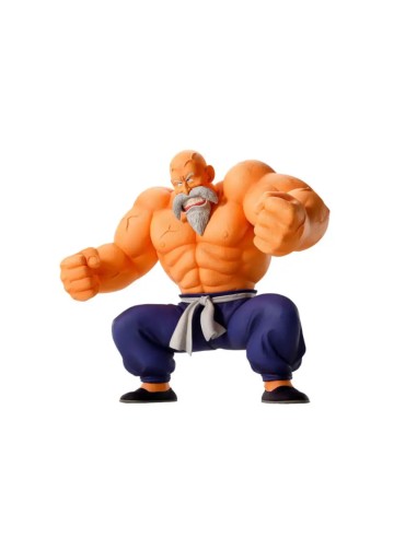 Master Roshi Training Section Ichibansho 21 cm | Dragon Ball