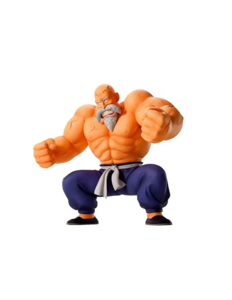 Master Roshi Training Section Ichibansho 21 cm | Dragon Ball