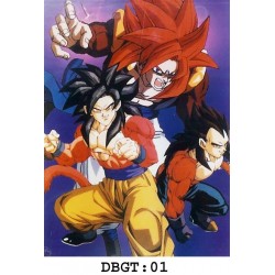 DRAGON BALL - DBGT1