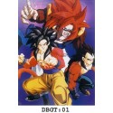 DRAGON BALL - DBGT1