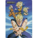 DRAGON BALL - CL170