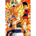 DRAGON BALL - CL207