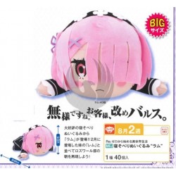 RE : ZERO MEJ NESOBERI PLUSH DOLL
