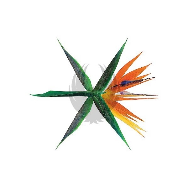 EXO - 4辑 THE WAR [Korean Ver.]