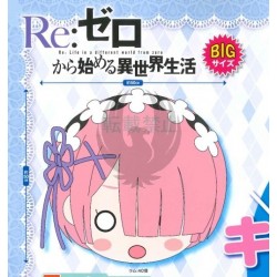 RE : ZERO PREMIUM CUSHION RAM