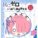 RE : ZERO PREMIUM CUSHION RAM